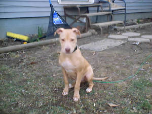 march15pups021.jpg